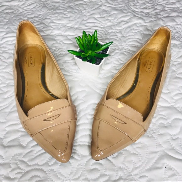 COACH tabitha pointy toe Flats - Picture 3 of 7